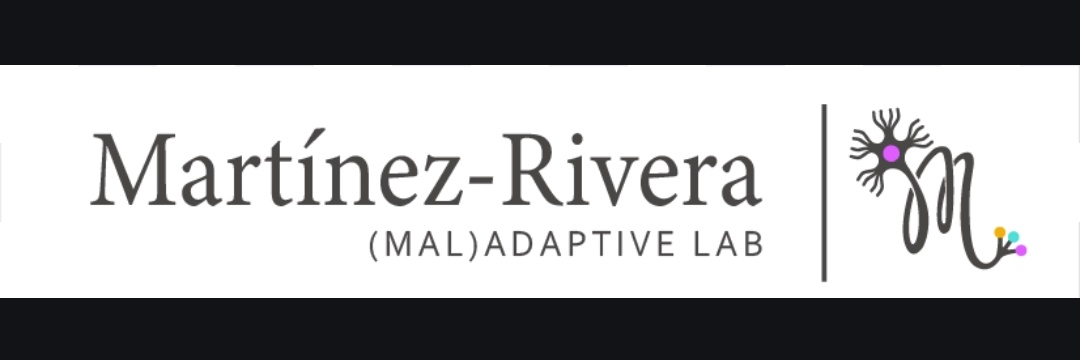 Martínez-Rivera FJ's banner