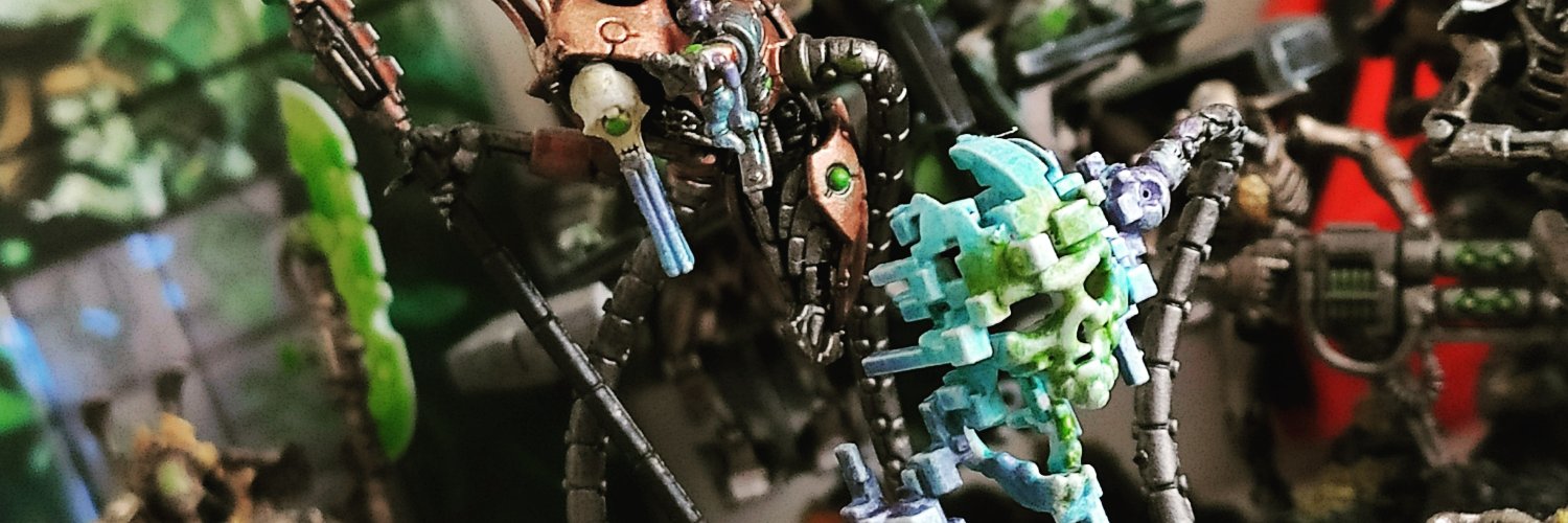 Netherviking (Stephen) banner