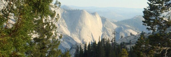 YCoghill Profile Banner