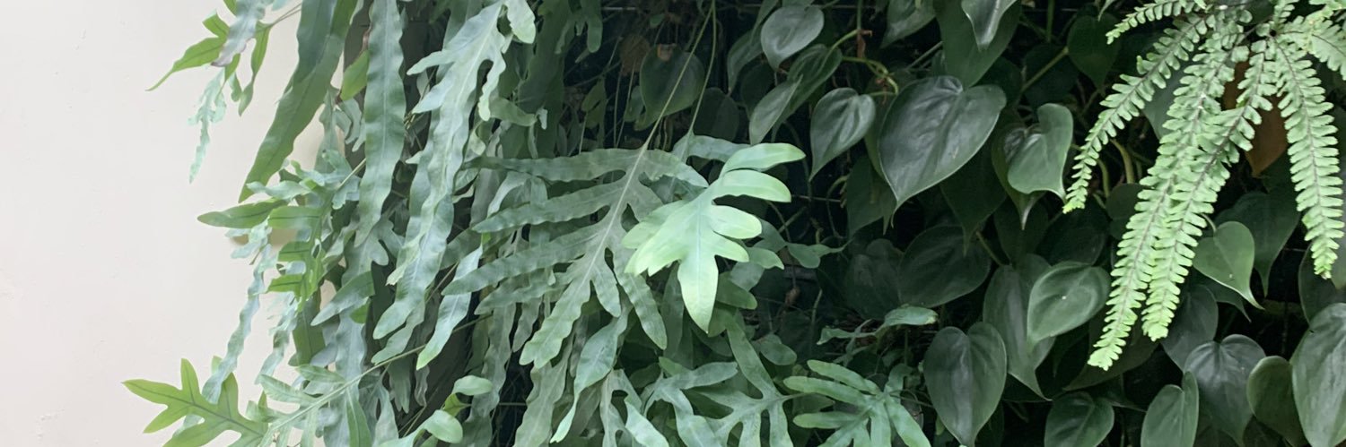_nijol's profile banner image