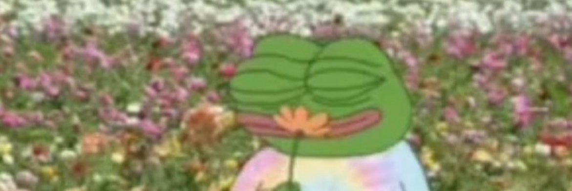 okmonkeycry's profile banner image
