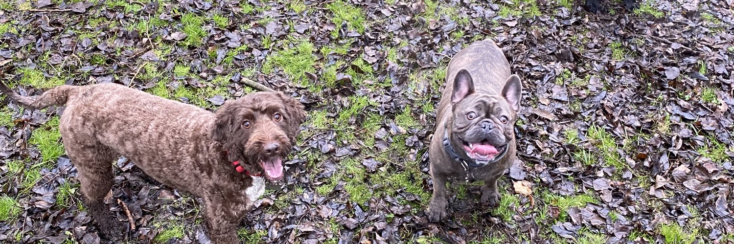Barnsleypets's profile banner image