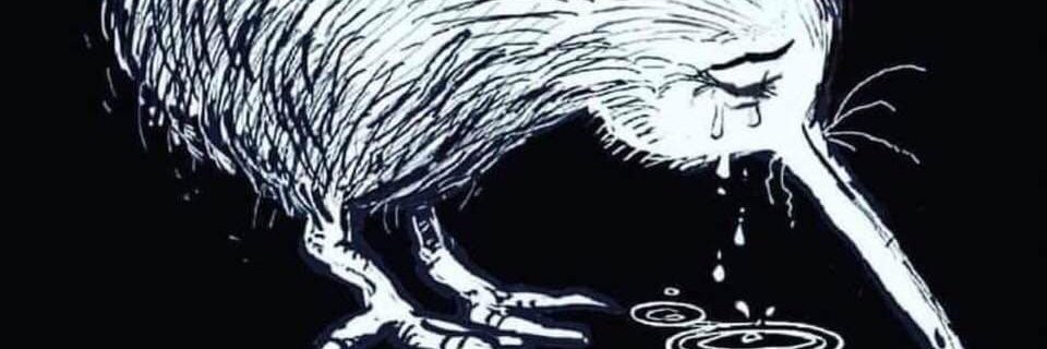 MiddleEarthNZ's profile banner image