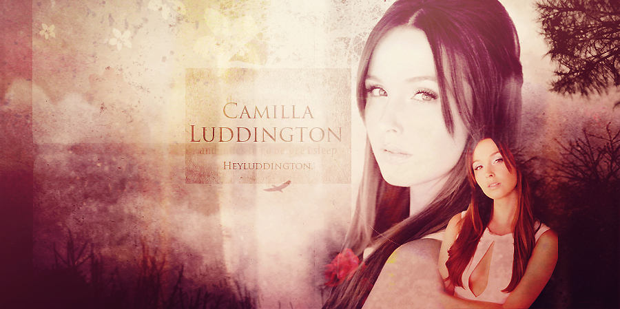 HeyLuddington's profile banner image