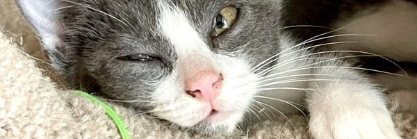 BarrySux Profile Banner