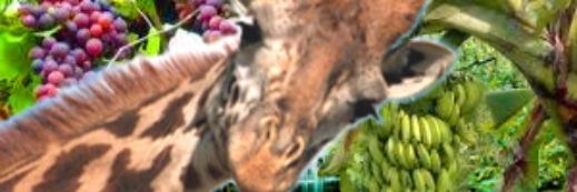 beta___'s profile banner image