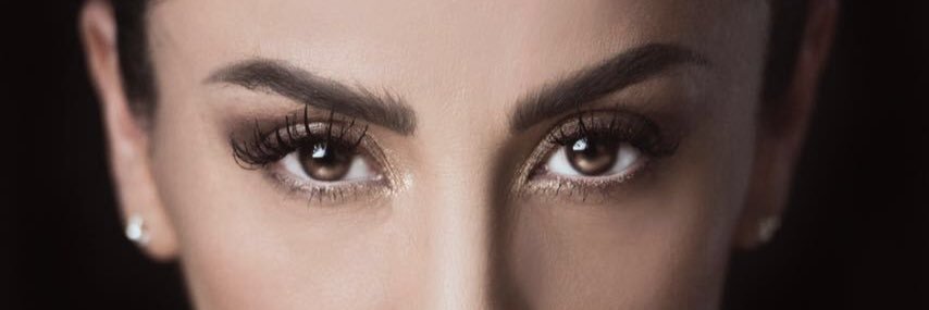 heydee hofmann banner