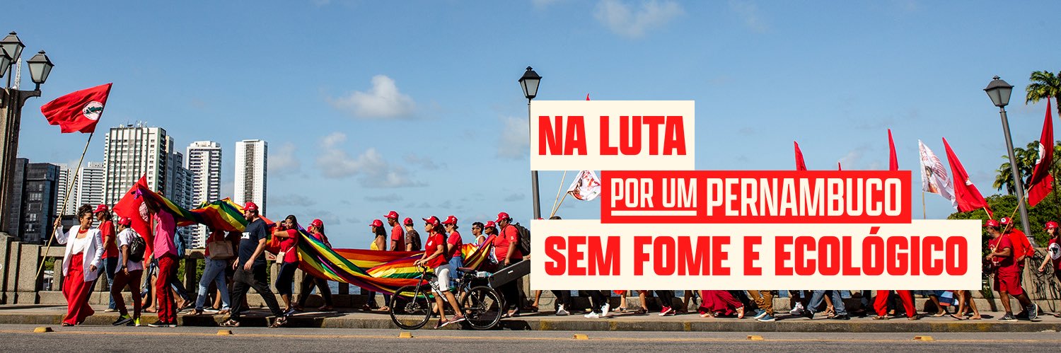Rosa Amorim banner
