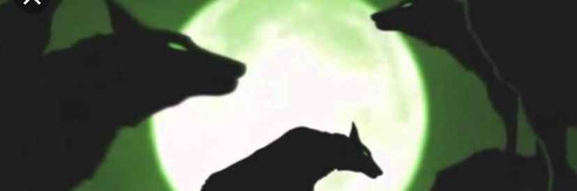 BpcWolfsburg's profile banner image