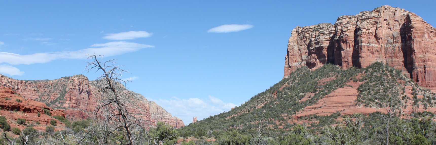 DaveBrummett's profile banner image