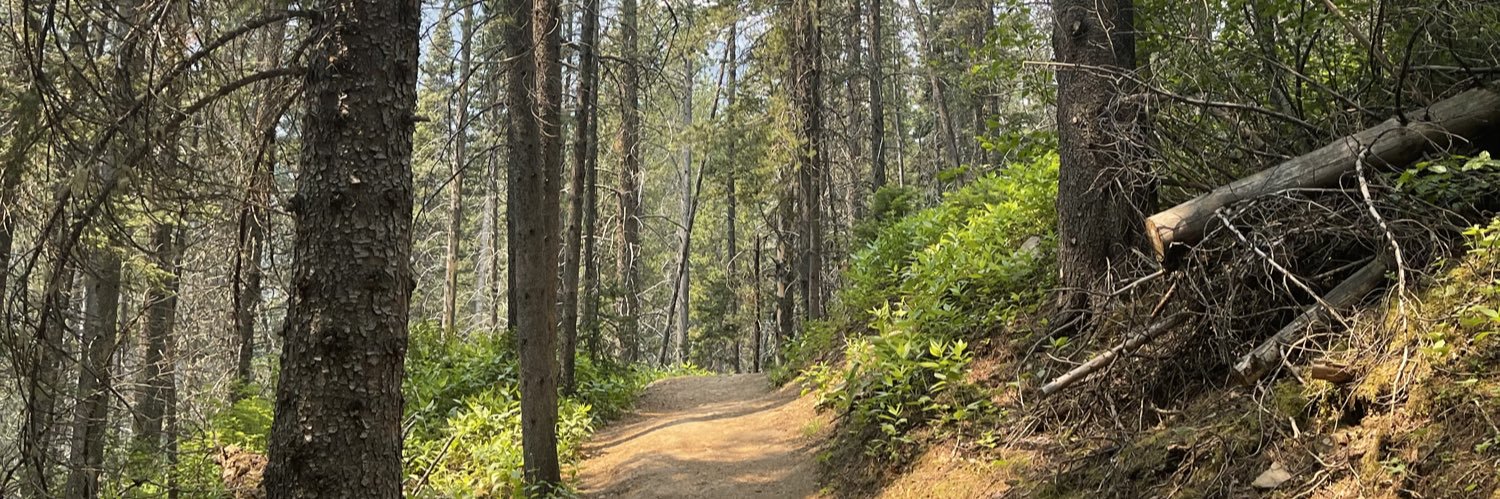 Amy Korver (she/her) banner