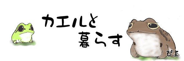 PIYO_KAERU Profile Banner