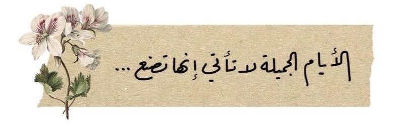 عوض العمري banner