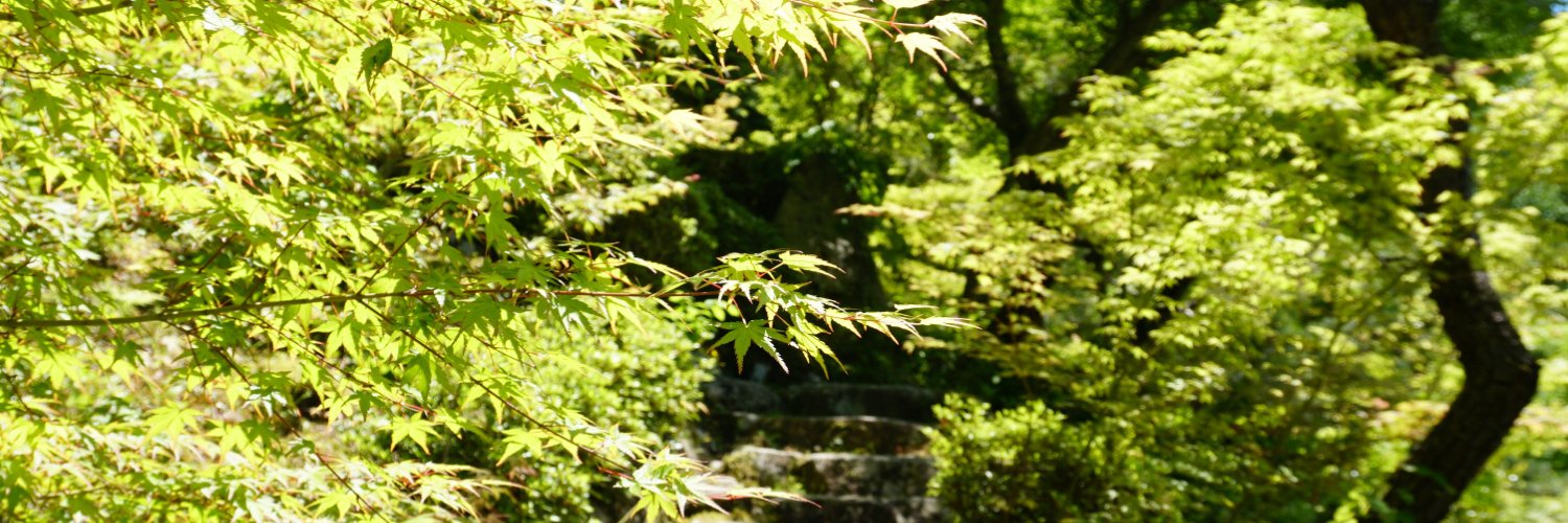 karnaklimited's profile banner image