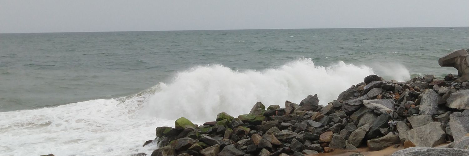 nsaravanan's profile banner image