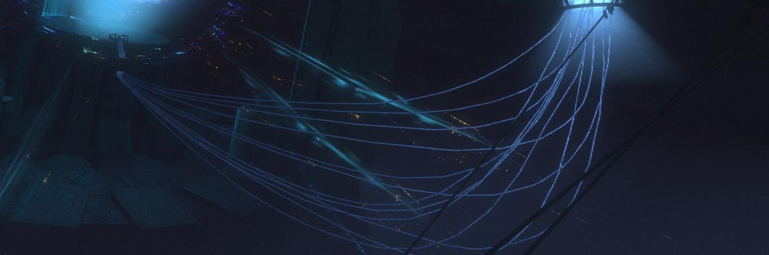 Devan Reisig banner