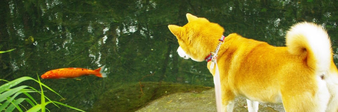 oyabun5's profile banner image