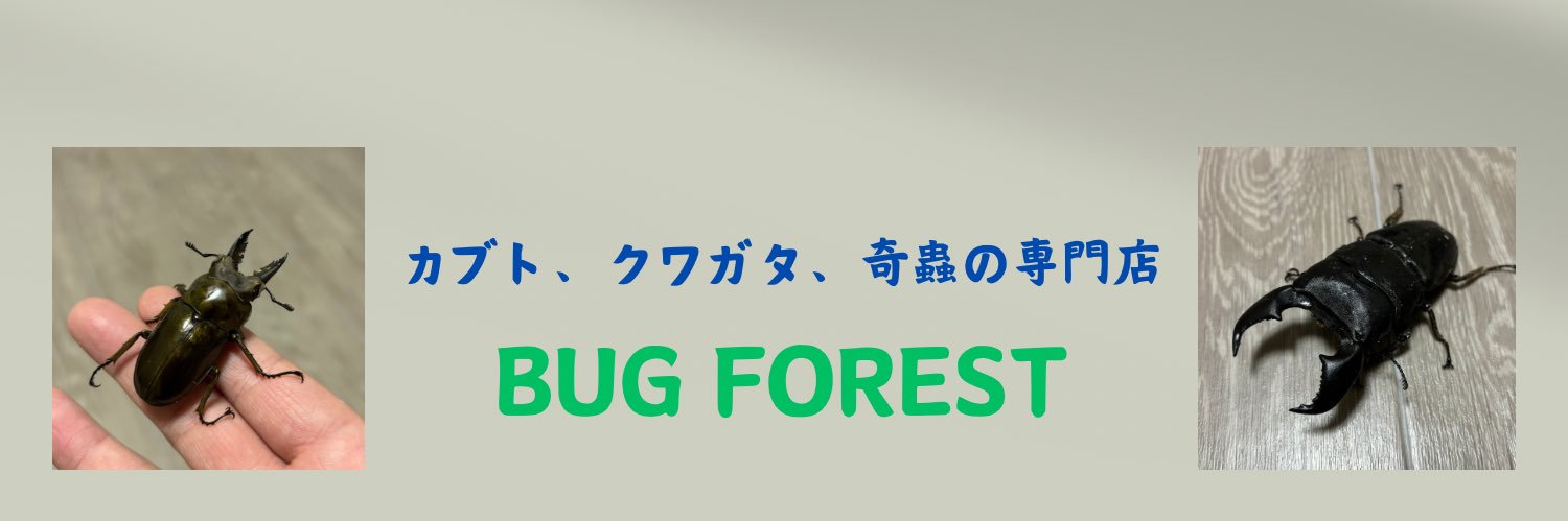 昆虫ショップ BUG FOREST's banner