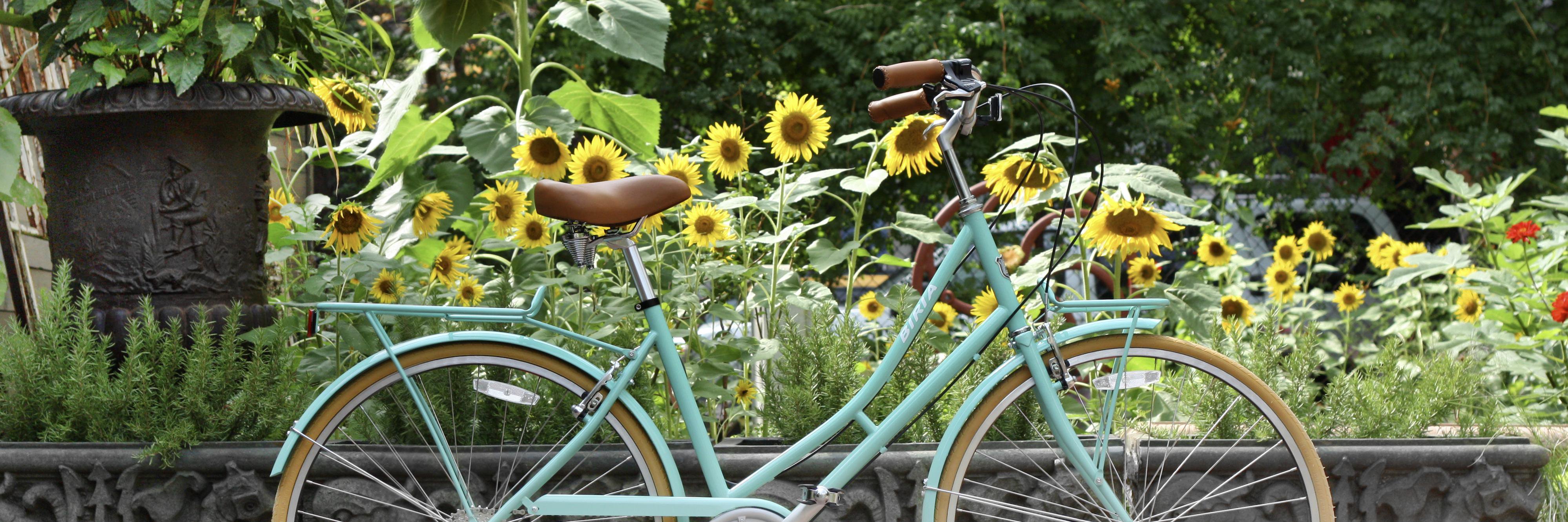 BiriaBikes's profile banner image