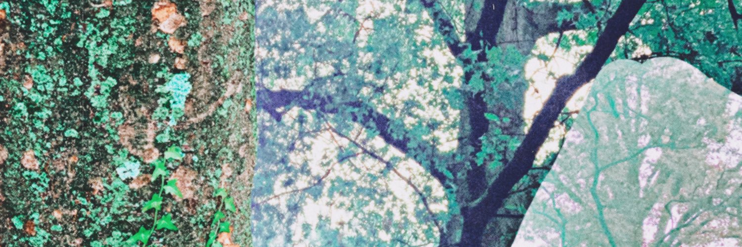 aidenlynch_'s profile banner image