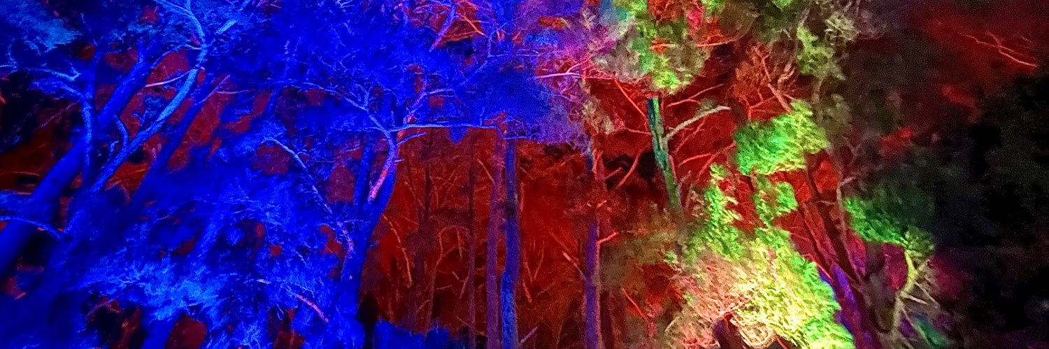 sydbb13's profile banner image