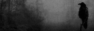 lara banner