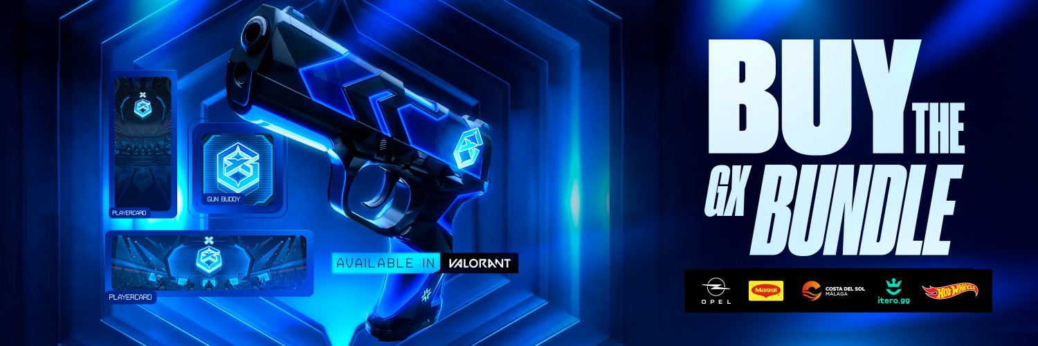 GX Flickless banner