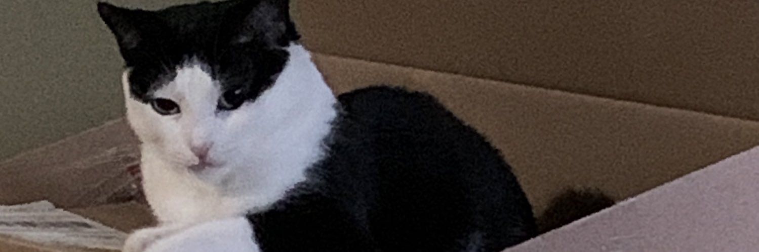 jkeithb007's profile banner image