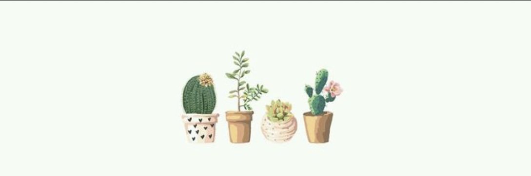 Laauraa_N's profile banner image