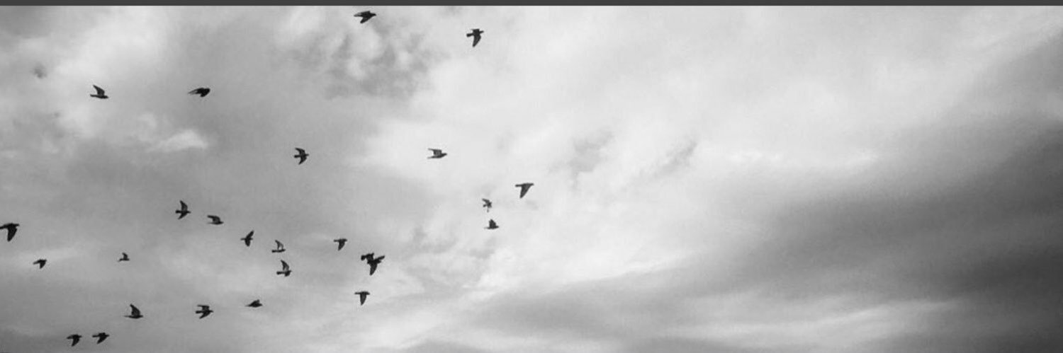 87xx3's profile banner image