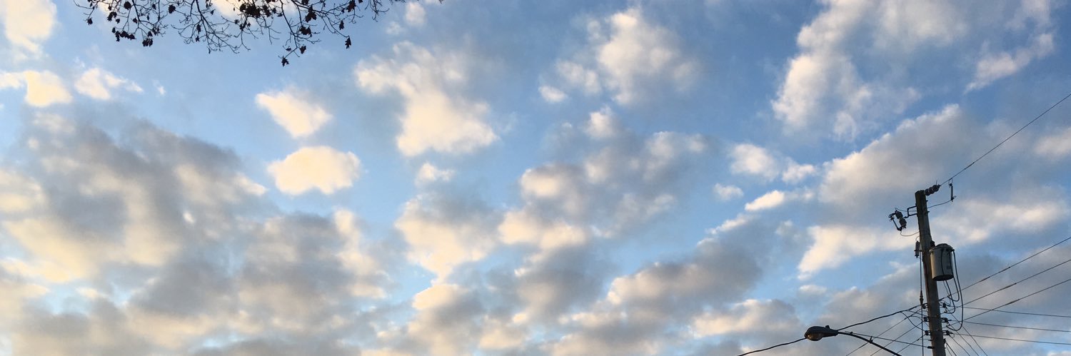 noplanBorC's profile banner image