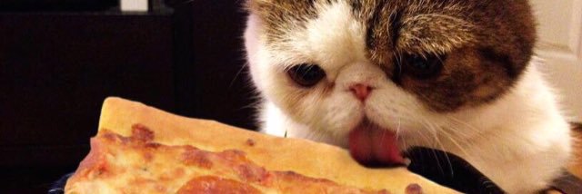 thaaisferrera's profile banner image