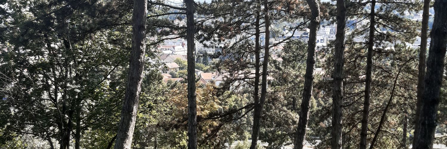 Werefella 🇹🇩🇪🇺🇬🇧 banner