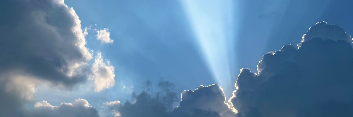 Michelle Patel banner