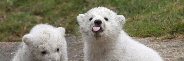 chillyd1's profile banner image