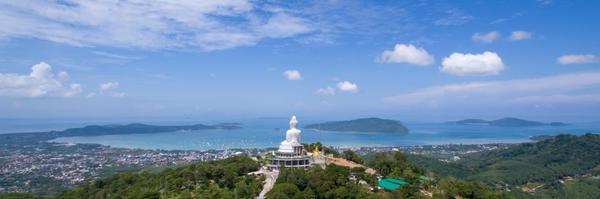 RedCardinal Profile Banner