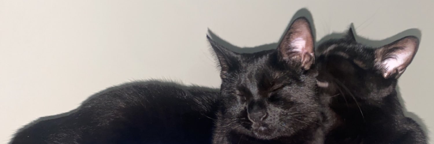 k_levitina's profile banner image