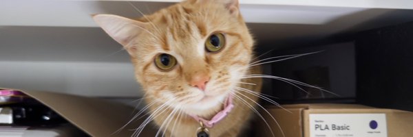 StellaSobs Profile Banner