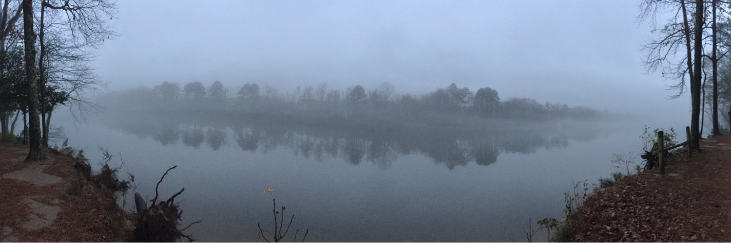 Ravishing Davey Rude banner