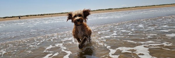 Ashzjay Profile Banner