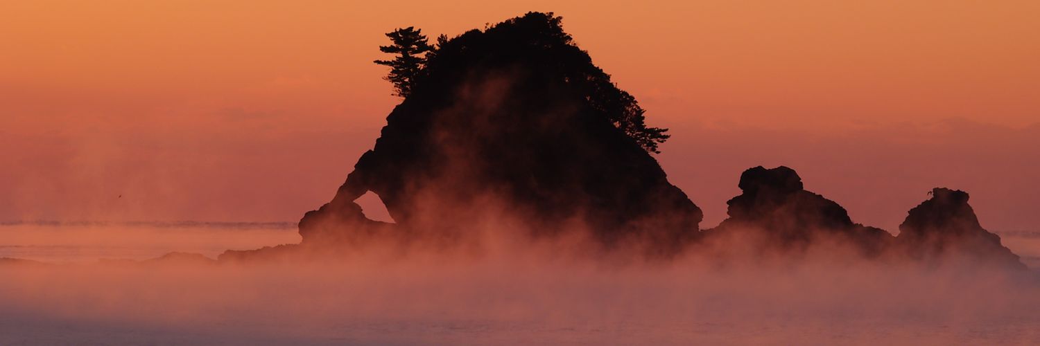 Fin_Fin__'s profile banner image