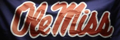 fox_OLMSRBL's profile banner image