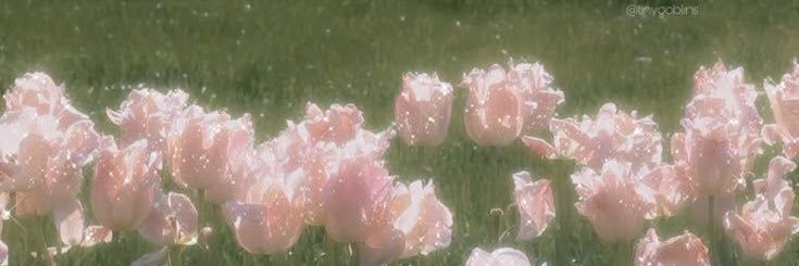 cher ✨jaypril banner