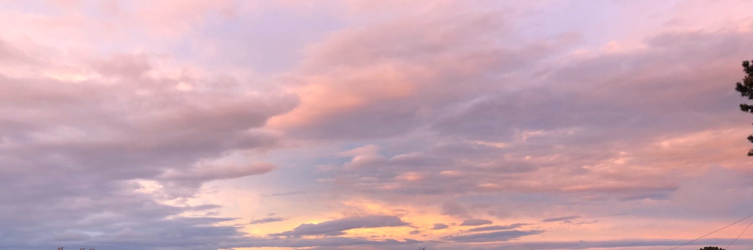 alexxbaroni's profile banner image
