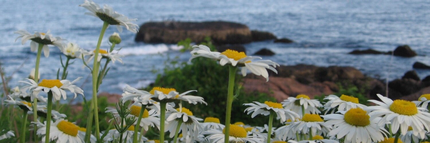 Mich_Clemens's profile banner image
