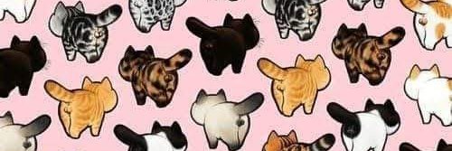 Udumslut's profile banner image