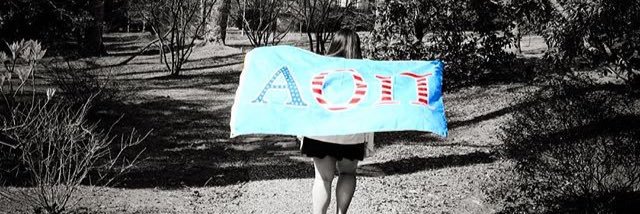 LagrangeAOII's profile banner image