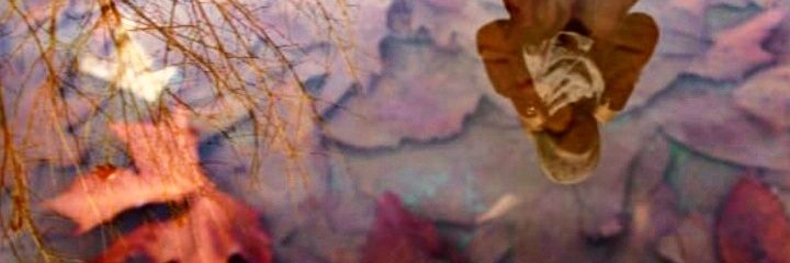 چاییسیونیسم ☕ banner