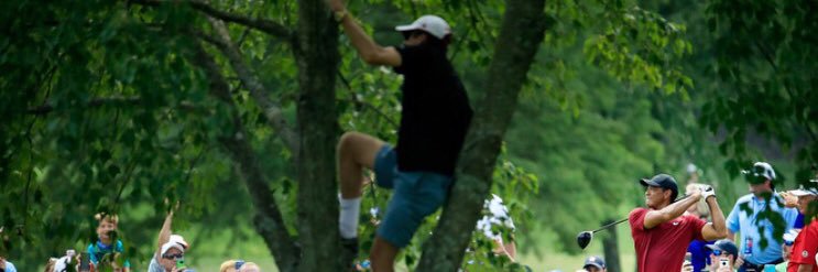 _therealcomb's profile banner image