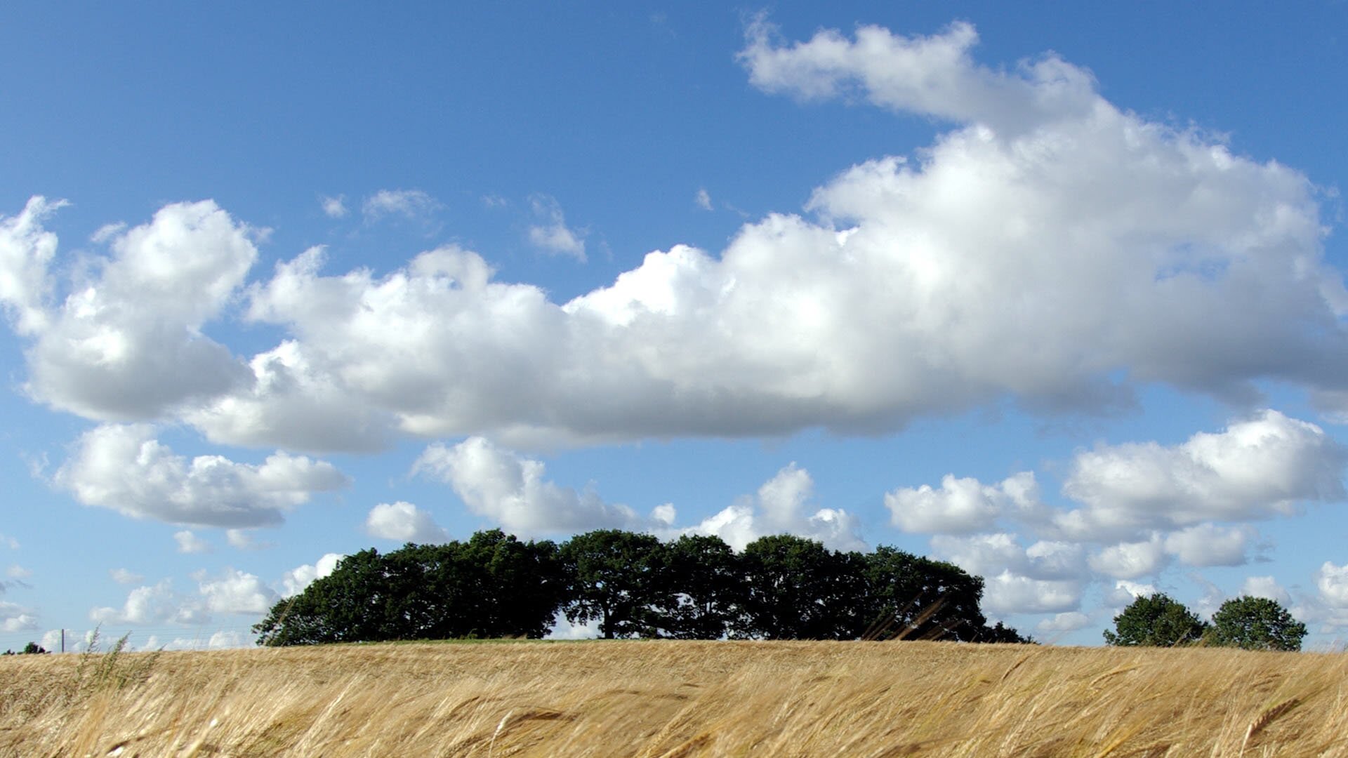 MininaPaz's profile banner image